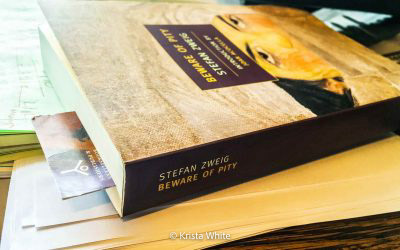 Beware of Pity by Stefan Zweig cover